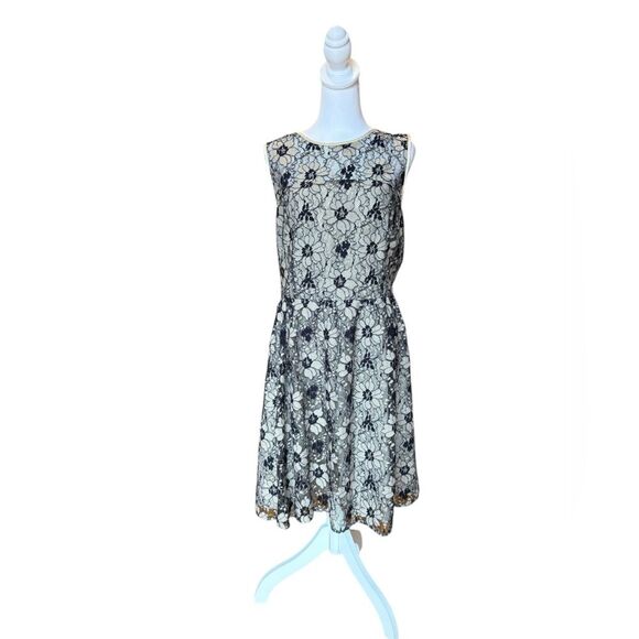 Ann Taylor LOFT Lace Sheath Dress Knee Length Sleeveless Womens 16 Black Beige - Picture 1 of 10